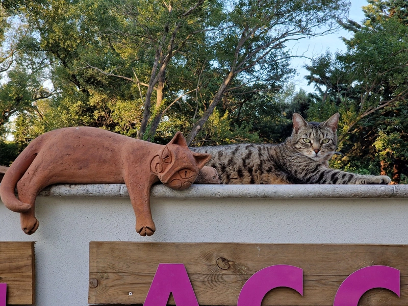 Confort et bien-être