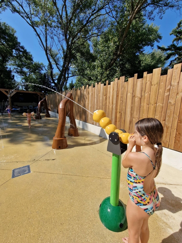 Plongeon dans l’eau !