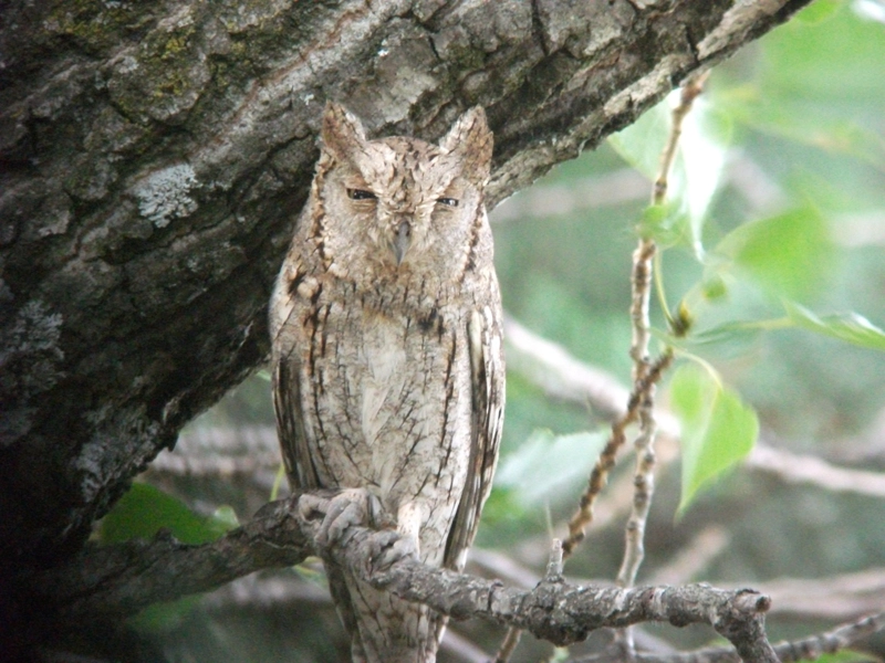 Nos engagements pour la nature et l’environnement